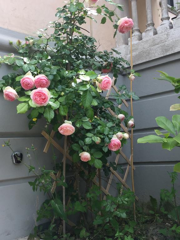 Opera 01 Maison De Charme Bed & Breakfast Cattolica